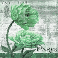 soave background animated vintage  flowers green - Free animated GIF