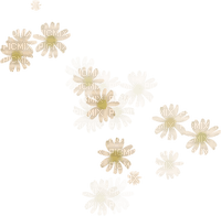 Soft beige flowers deco [Basilslament] - 無料png