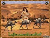 fond de chameaux - ücretsiz png