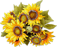 soave deco flowers sunflowers yellow green brown - Free PNG
