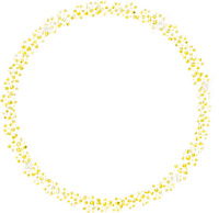 Circle.Frame.Yellow - Free PNG