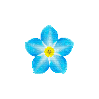 Flower, Flowers, Blue - Jitter.Bug.Girl - Besplatni animirani GIF