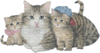 chats - Ilmainen animoitu GIF