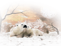 Kaz_Creations Paysage Scenery Winter Polar Bears - PNG gratuit