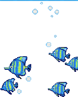 fish bubbles - GIF animé gratuit