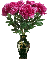 Bloemen en planten - Gratis animeret GIF