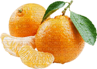 charmille _ fruits - PNG gratuit