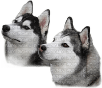 Kaz_Creations Dogs Dog Pup 🐶 - PNG gratuit