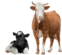 vaca - PNG gratuit