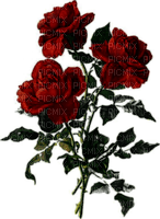 Red green dark roses deco [Basilslament] - бесплатно png