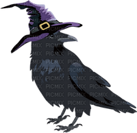 corbeau - ingyenes png