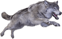 Wolf Jumping png - 無料png