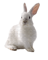 hase rabbit milla1959 - png grátis