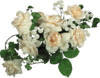 ROSE BLANCHE - png ฟรี