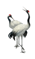 cranes  Bb2 - Free PNG