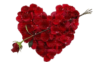 herz heart rose love - GIF animé gratuit