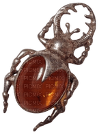 amber bettle - zadarmo png