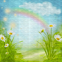 Y.A.M._Summer background flowers - ilmainen png