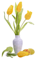tulipan - 免费PNG