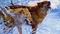 wolves - Free PNG