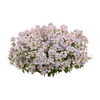 kikkapink deco scrap pink purple bush flowers - δωρεάν png