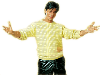 Shah Rukh Khan - gratis png