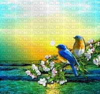 spring_summer background - 免费PNG