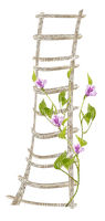 Kaz_Creations Ladders - png ฟรี