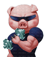 Kaz_Creations Funny Pig - gratis png