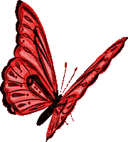 VanessaValo_crea=rainbow butterfly  glitter - Animovaný GIF zadarmo