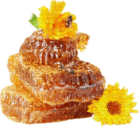 honey, honeycomb sunshine3 - PNG gratuit