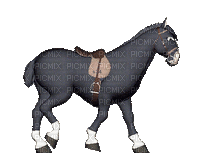 aze cheval s34 noir black blanc White - Безплатен анимиран GIF