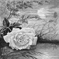 Y.A.M._Vintage background black-white - Gratis geanimeerde GIF