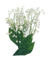 Blumen, Maiglöckchen - gratis png