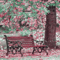 soave background animated autumn park forest - GIF animate gratis