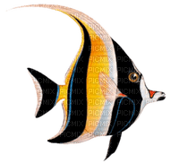 tube animaux aquarium - 免费PNG