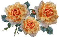 kukka flower fleur rose - png ฟรี