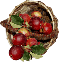 autumn_automne_fruits_pommes_apples_BlueDREAM 70 - png ฟรี