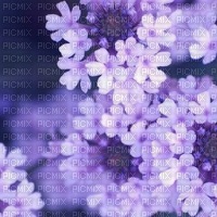 Purple Flowers - PNG gratuit