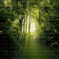 fantasy background by  nataliplus - PNG gratuit