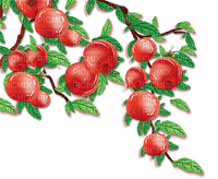 soave deco fruit apple branch red green - besplatni png