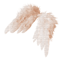 angel wings - gratis png