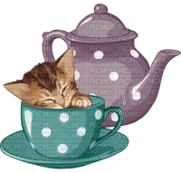 kitten in cup bp - PNG gratuit