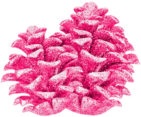 Glitter.Pinecones.Pink - 免费PNG