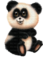 Kaz_Creations Panda Pandas - Gratis animerad GIF