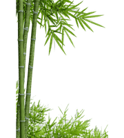 bambus milla1959 - 免费PNG