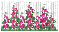 flower, kukka, fleur, fence - darmowe png