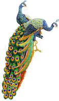 peacock - бесплатно png