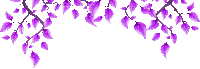 soave deco border animated  branch purple - Free animated GIF