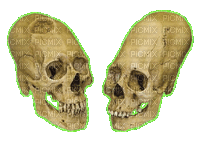 elongated skulls - Gratis animeret GIF